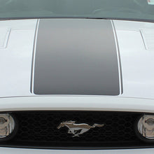 Load image into Gallery viewer, Flight Kit 2013-2014 Ford Mustang Vinyl Kit
